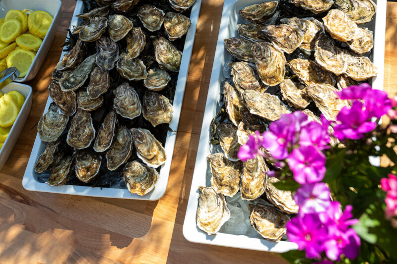 Oysters in the restaurant alto