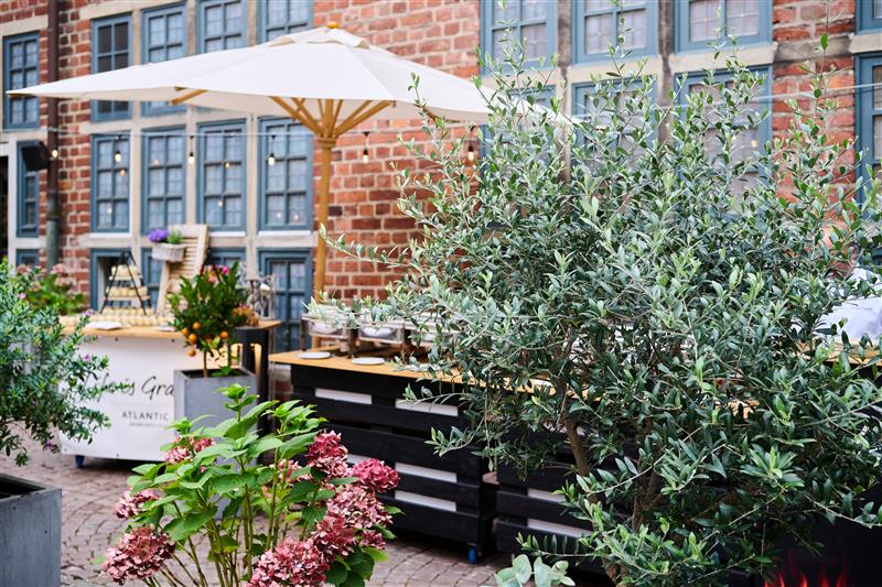 The courtyard garden Hofgarten during the barbecue event in a summery atmosphere.
